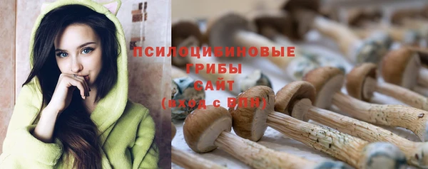 jwh Бронницы