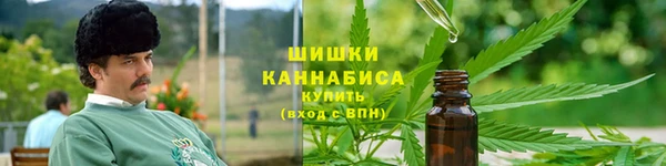 Альфа ПВП Бугульма
