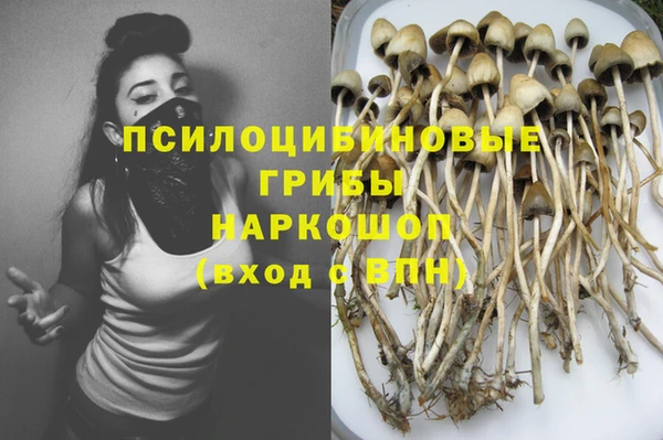 соль ск Бородино