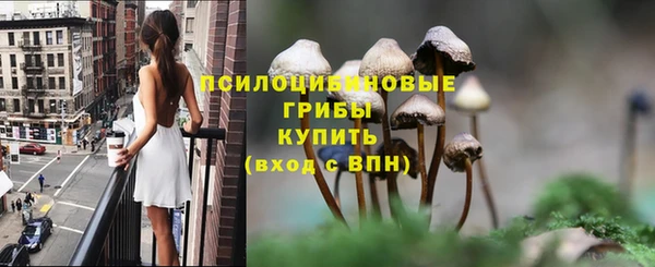 соль ск Бородино